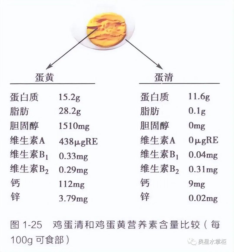 早上吃一个水煮鸡蛋，一段时间后有何变化？建议：肝不好的来看看