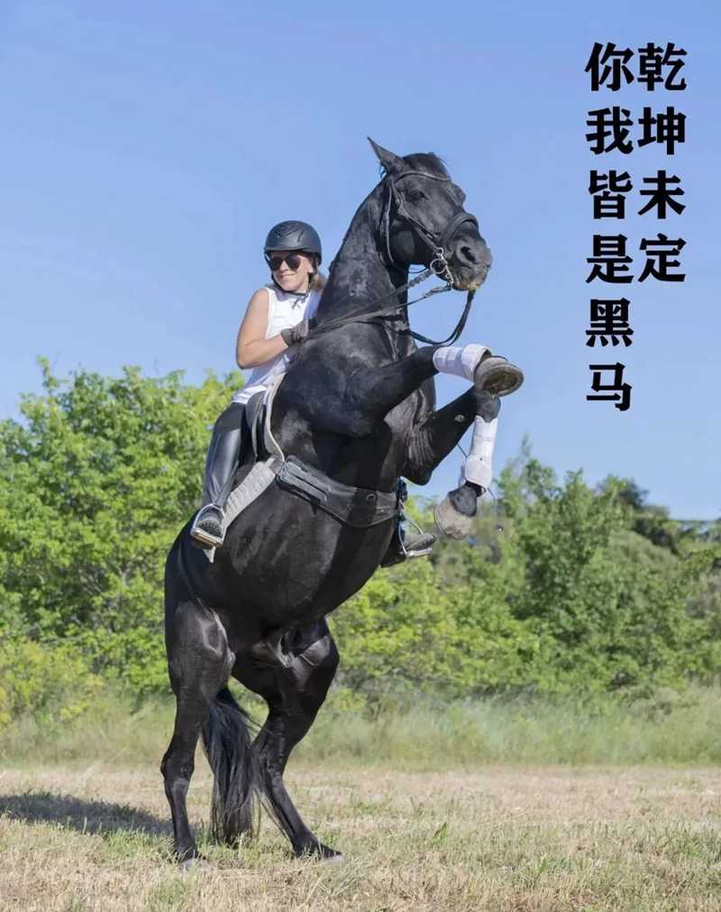 奔赴考场，敢拼就会赢！