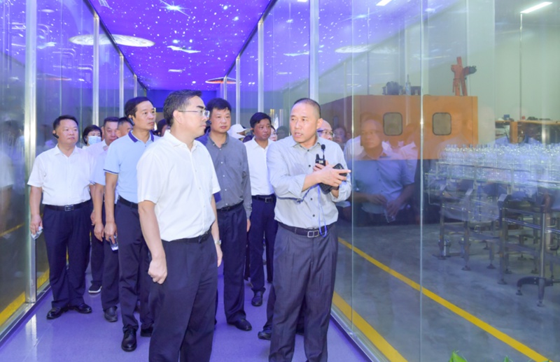 孙道军市长一行到奥星产业园现场观摩